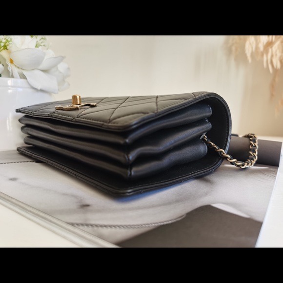 Chanel Most Wanted Princess Enamel Calfskin Bag - Picture 8 of 15